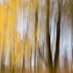 Распазнаванне: добра, дрэнна… па-ігнацыянску