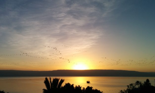 Малітва аб свабодзе