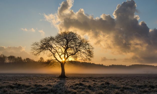 Жаданні, пачуцці і выклікі як сігналы духоўнага жыцця