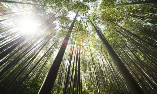 Разважанні пра малітву. Божая прысутнасць