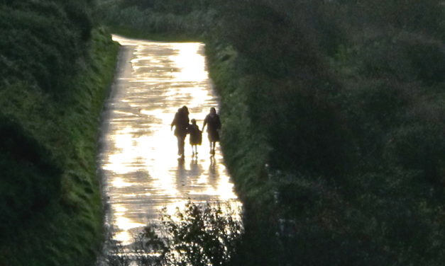 Любіць – даваць свабоду