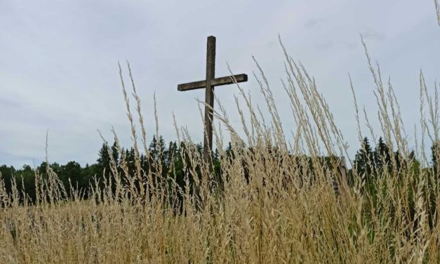 Перамагчы зло? – Узмацняючы дабро