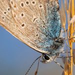 Любоў Бога і сапраўдная любоў да сябе