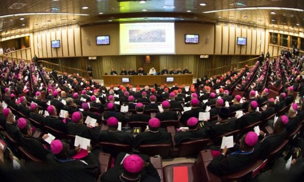 Кардынал Майкл Чэрны SJ: сінадальнасць – важная рыса касцёльнай тоеснасці