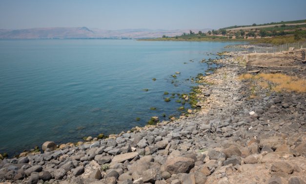 Уваскрослы Пан на беразе нашай штодзённасці