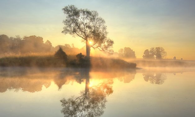 Вера і вернасць