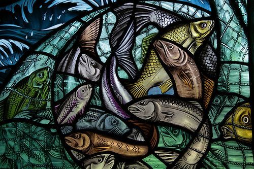 fish-1-1