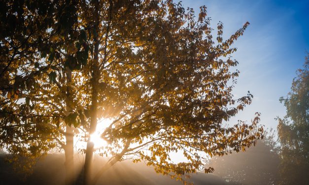 Біблійны лексікон: дух, душа, цела