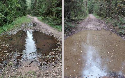 Шлях да празрыстасці