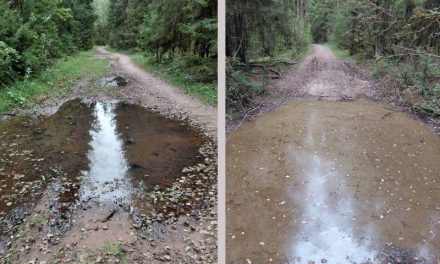 Шлях да празрыстасці