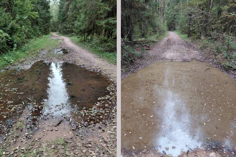 Шлях да празрыстасці