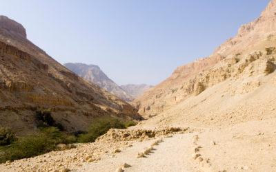 Досвед выпрабавання — досвед Духа