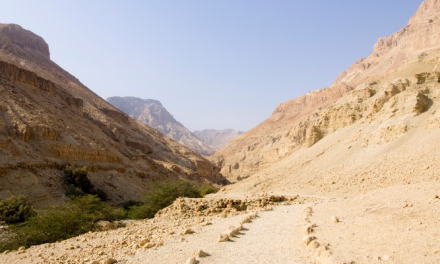 Досвед выпрабавання — досвед Духа